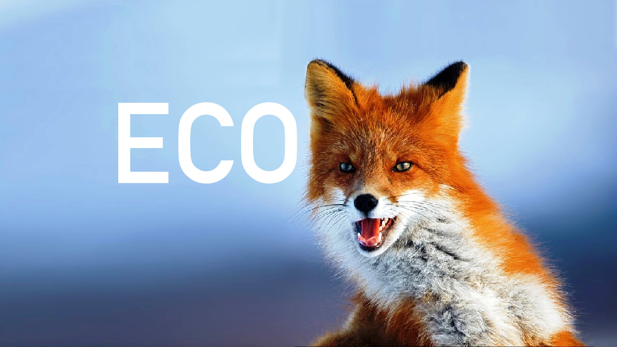 FEcofox